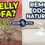 How to Remove Bad Smell from Sofa at Home Naturally