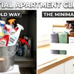Essential cleaning supplies for apartment deep cleaning